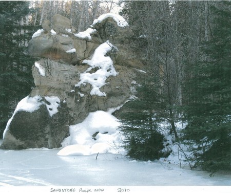 2010-P0001