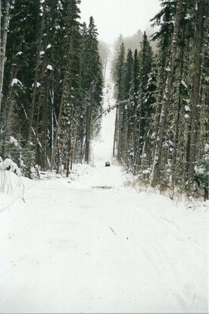 P0103