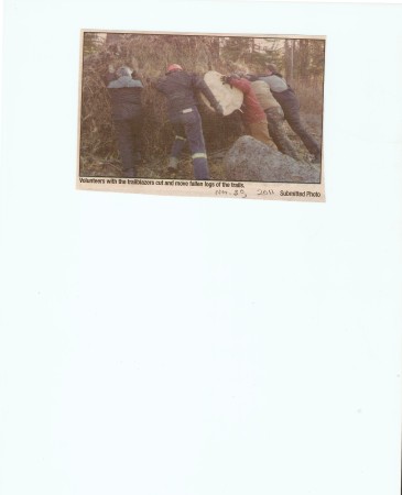 Scan 41