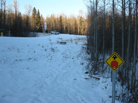 New trail south of groat creek cabin./Looking towards cabin up the hill.