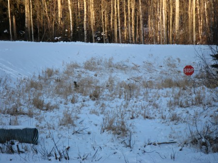 Trails:2009 - 34